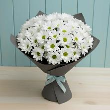 Букет цветов из:  Хризантемы #REPLACE_PRED# Редькино